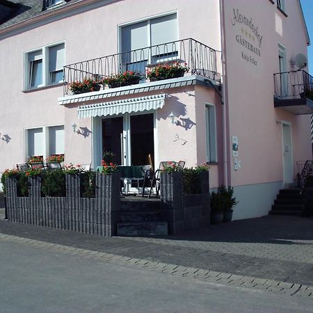 Gästehaus Alexanderhof Leiwen Exterior foto