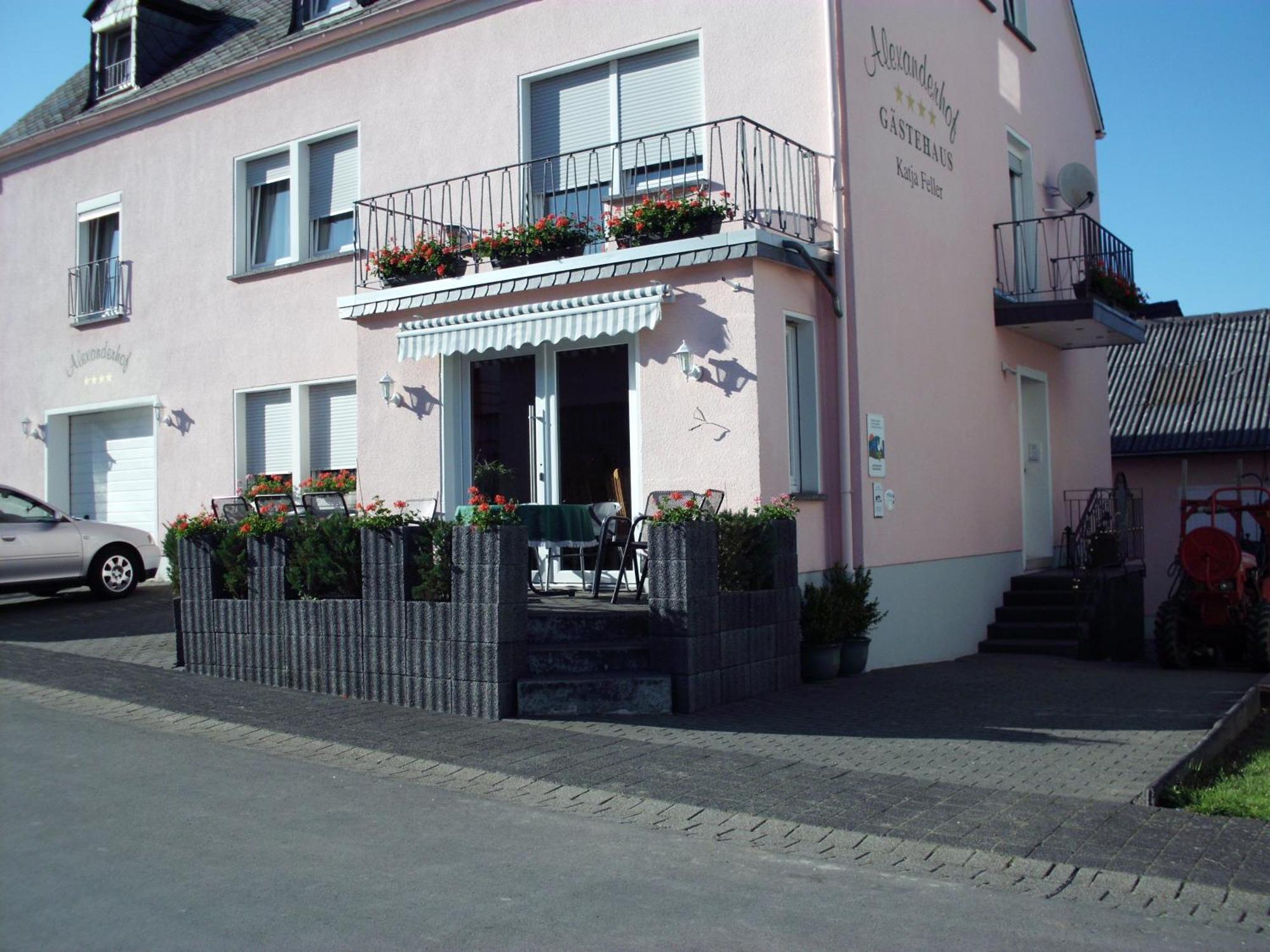 Gästehaus Alexanderhof Leiwen Exterior foto